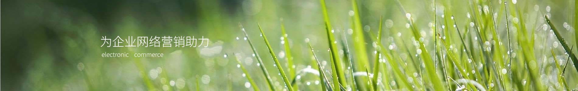 ݻƷ޹˾